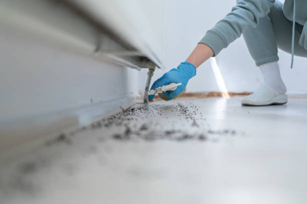 Wasp Removal Services in Red Cloud, NE